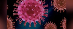 Lee más sobre el artículo Identifican moléculas que frenan la entrada del coronavirus en las células