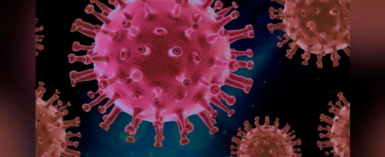Lee más sobre el artículo Identifican moléculas que frenan la entrada del coronavirus en las células